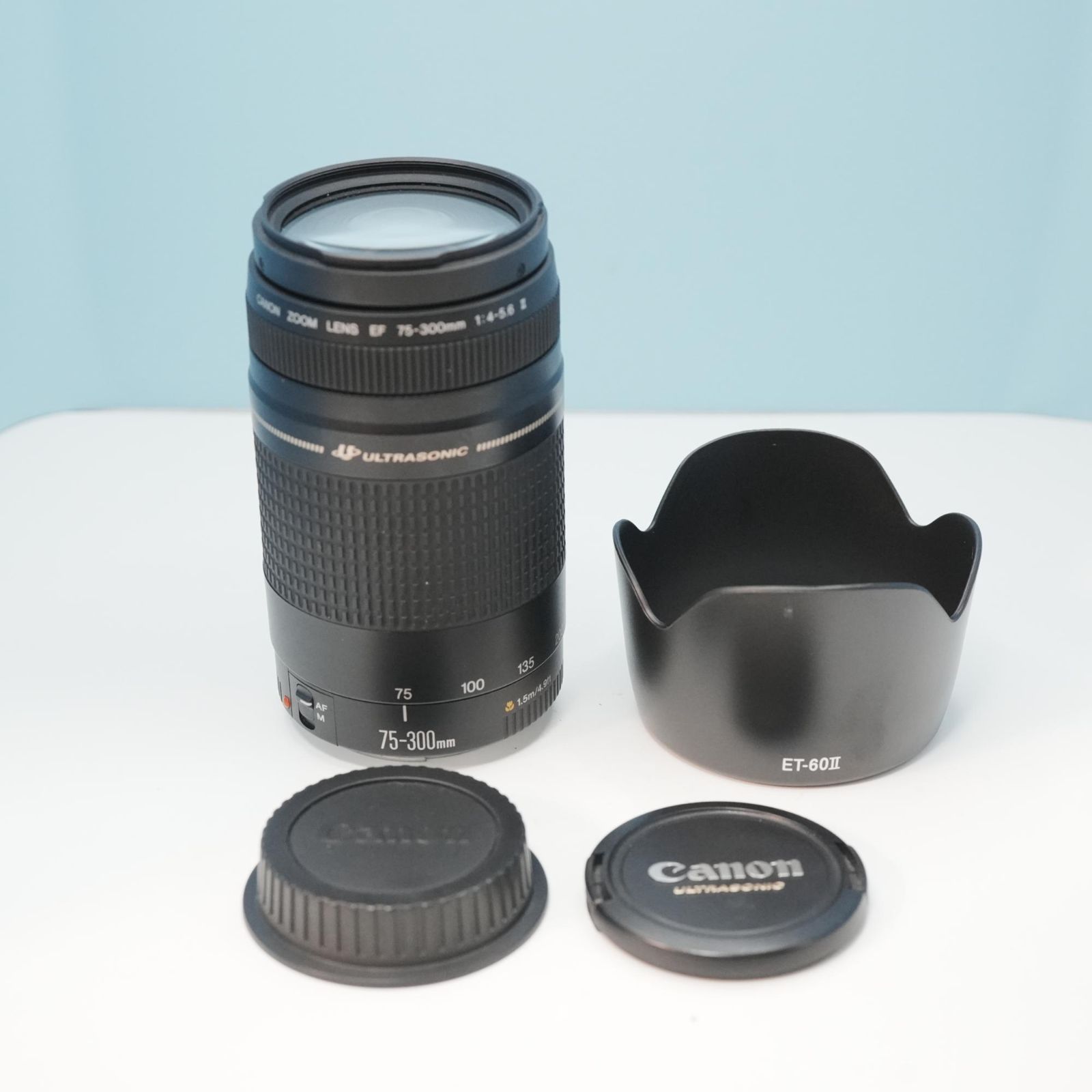 Canon純正 75-300mm EFマウント用 望遠レンズ 美品 a6750