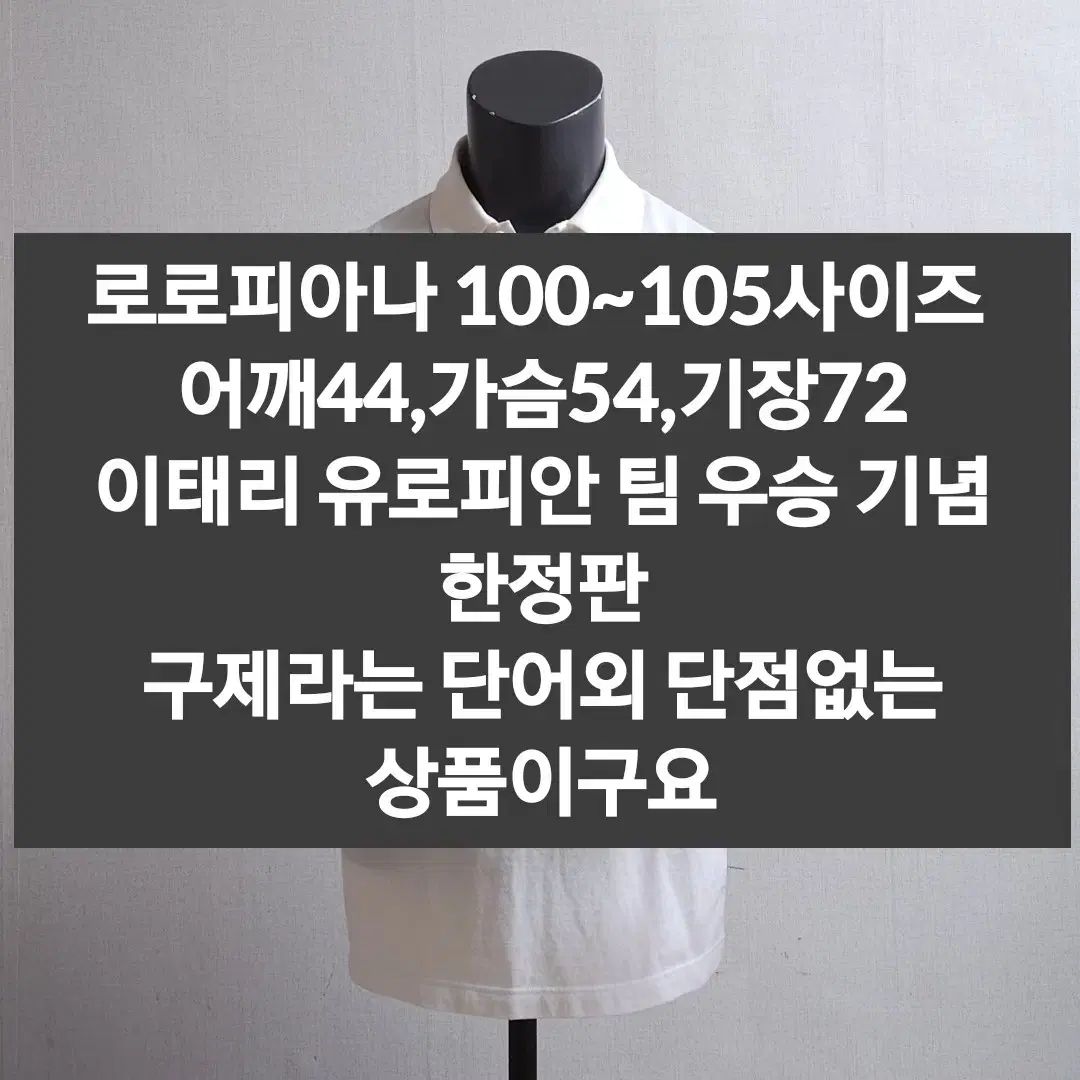 ロロ・ピアーナ 半袖Tシャツ 100 ロロ・ピアーナ 半袖Tシャツ 100