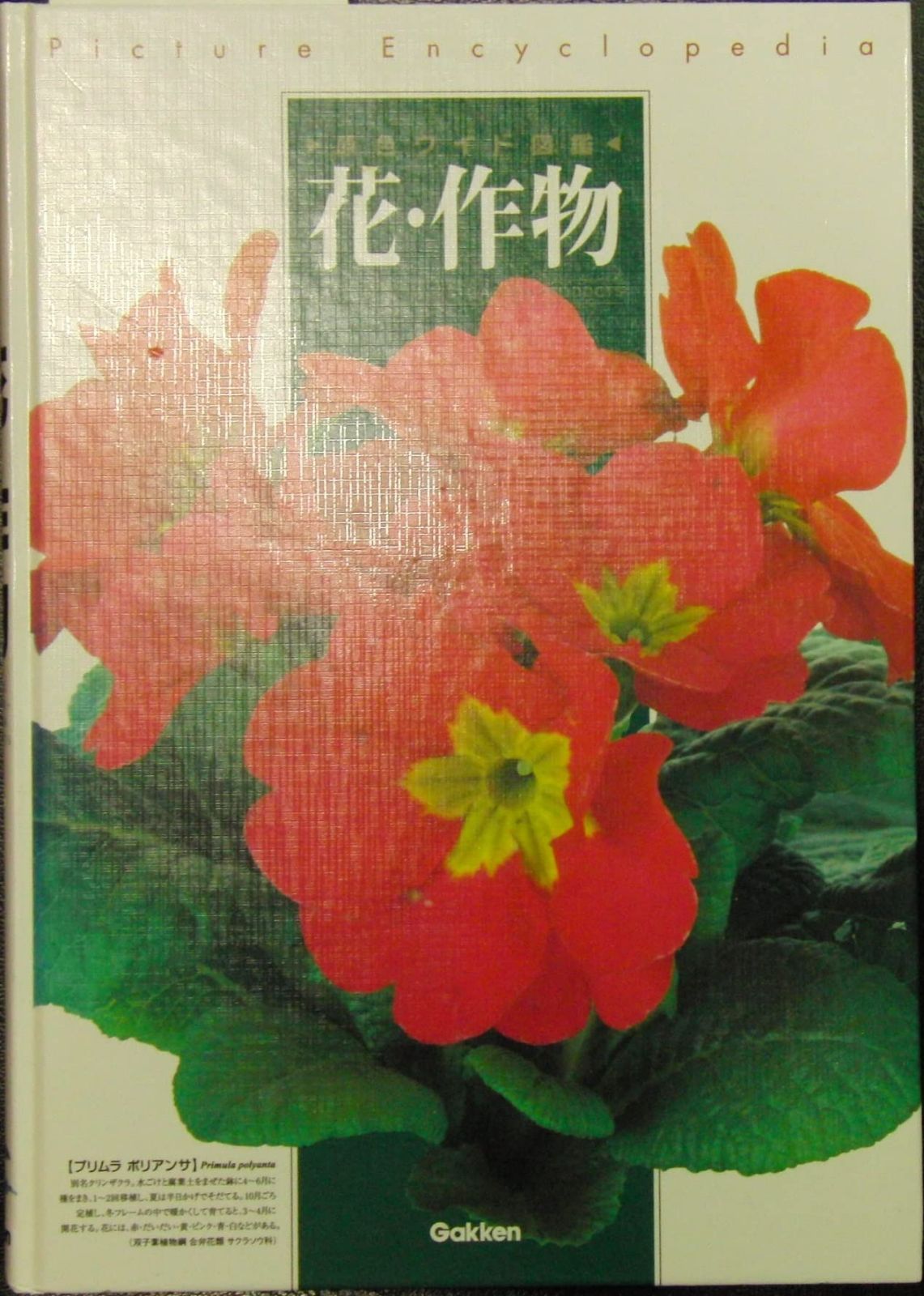 花・作物
