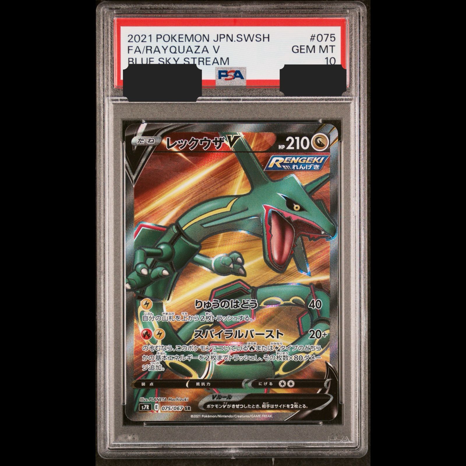 ポケモンカード レックウザV SR 075/067 PSA10 送料無料】ポケモンカード レックウザV SR PSA10 PSA鑑定 s7R 075/067