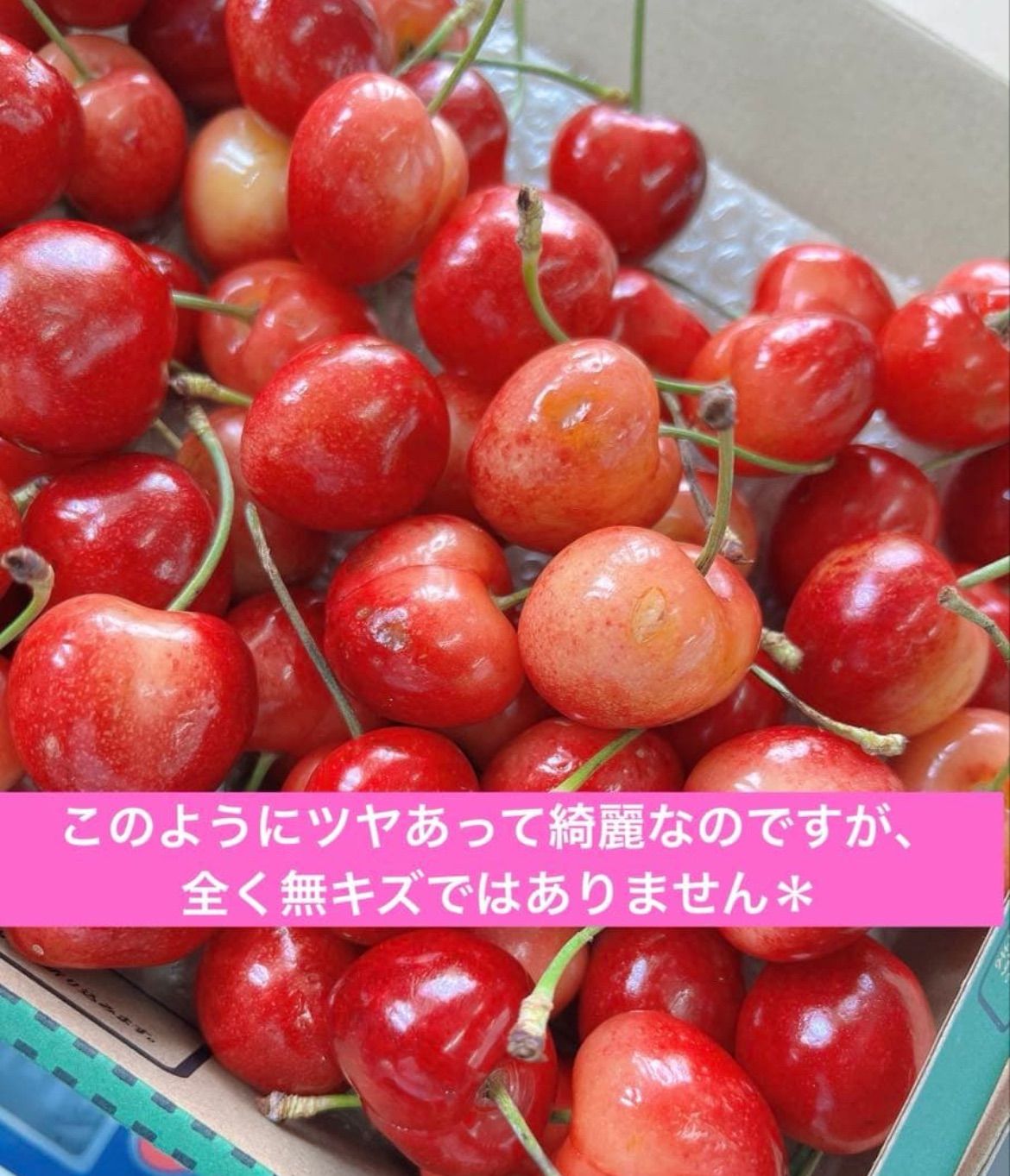 糖度26度超！希少8.5R巨大レーニアチェリー2kg - メルカリ