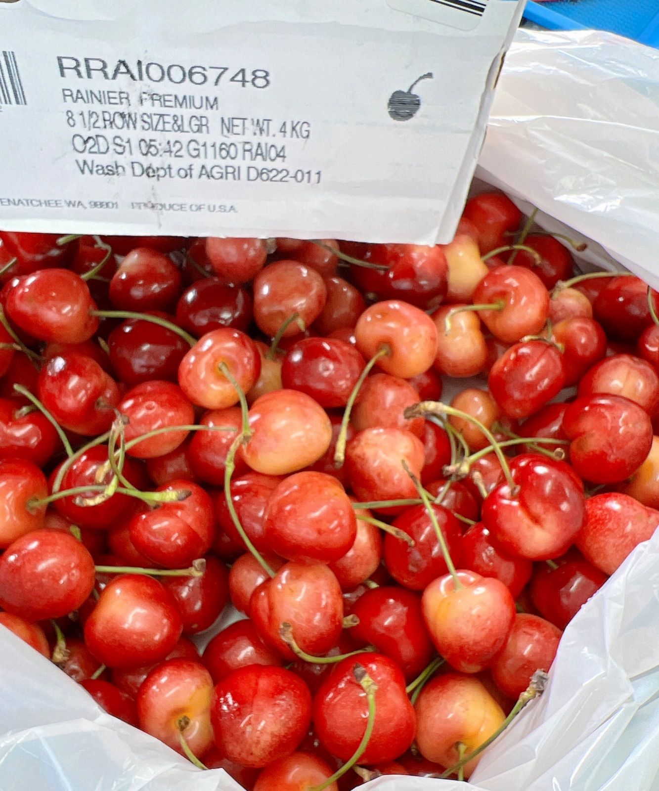 レイニアチェリー 特大サイズ8.5R 高糖度 ２kg 糖度26度超！希少8.5R巨大レーニアチェリー2kg - メルカリ