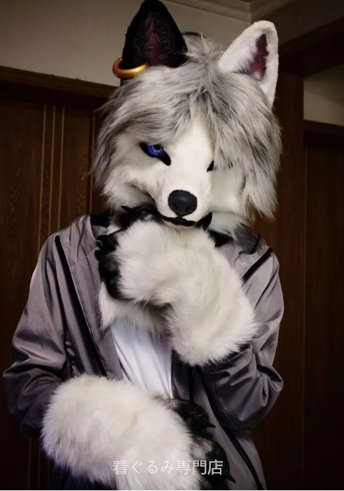 犬　猫　着ぐるみ ヘッド全頭　ヘッド ケモノ ファースーツ ぬいぐるみ コスプレ コスチューム Kurumi 一点物 C756