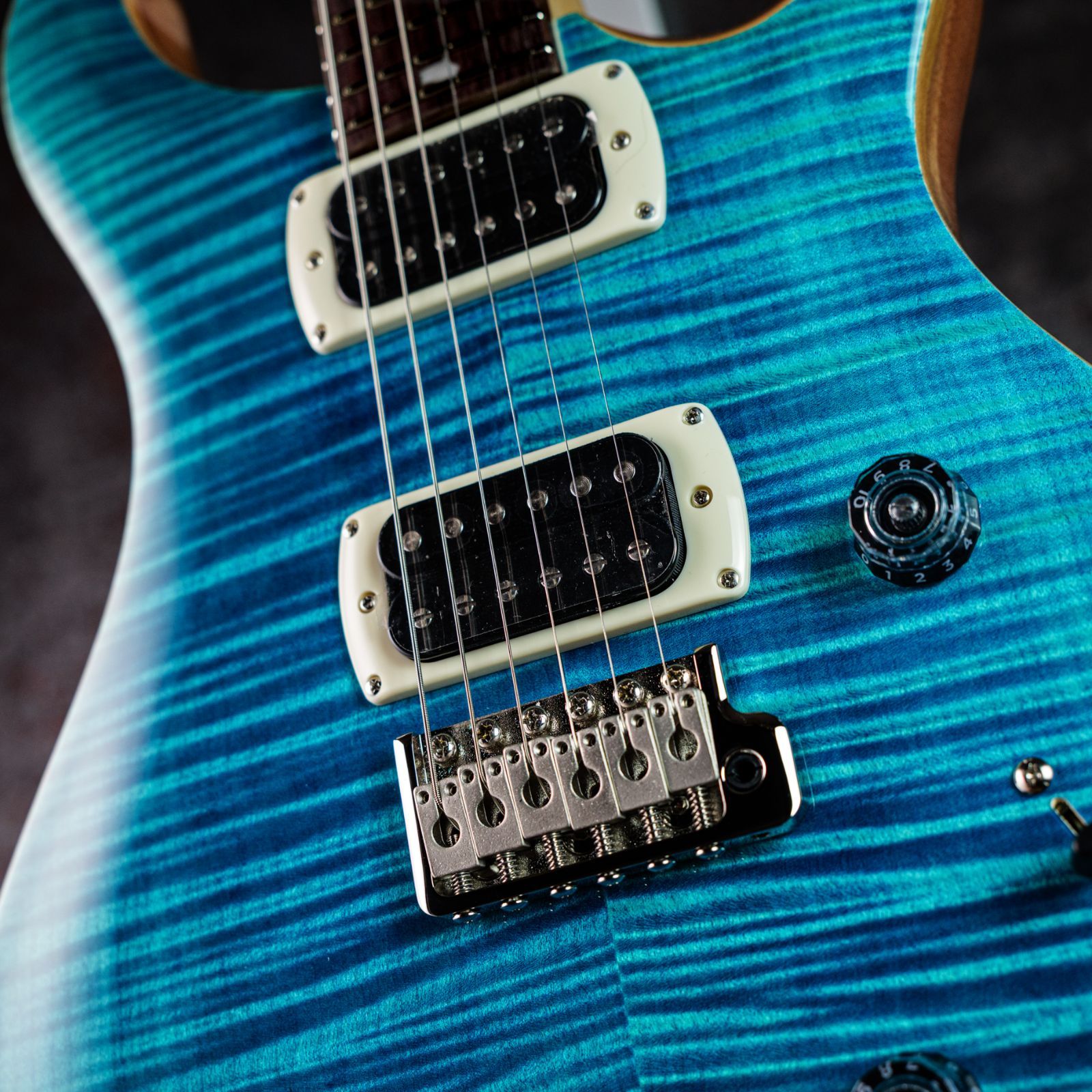 Paul Reed Smith(PRS) SE Custom 24 Blue Matteo (Natural Back