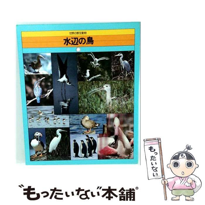 【中古】 水辺の鳥 / /