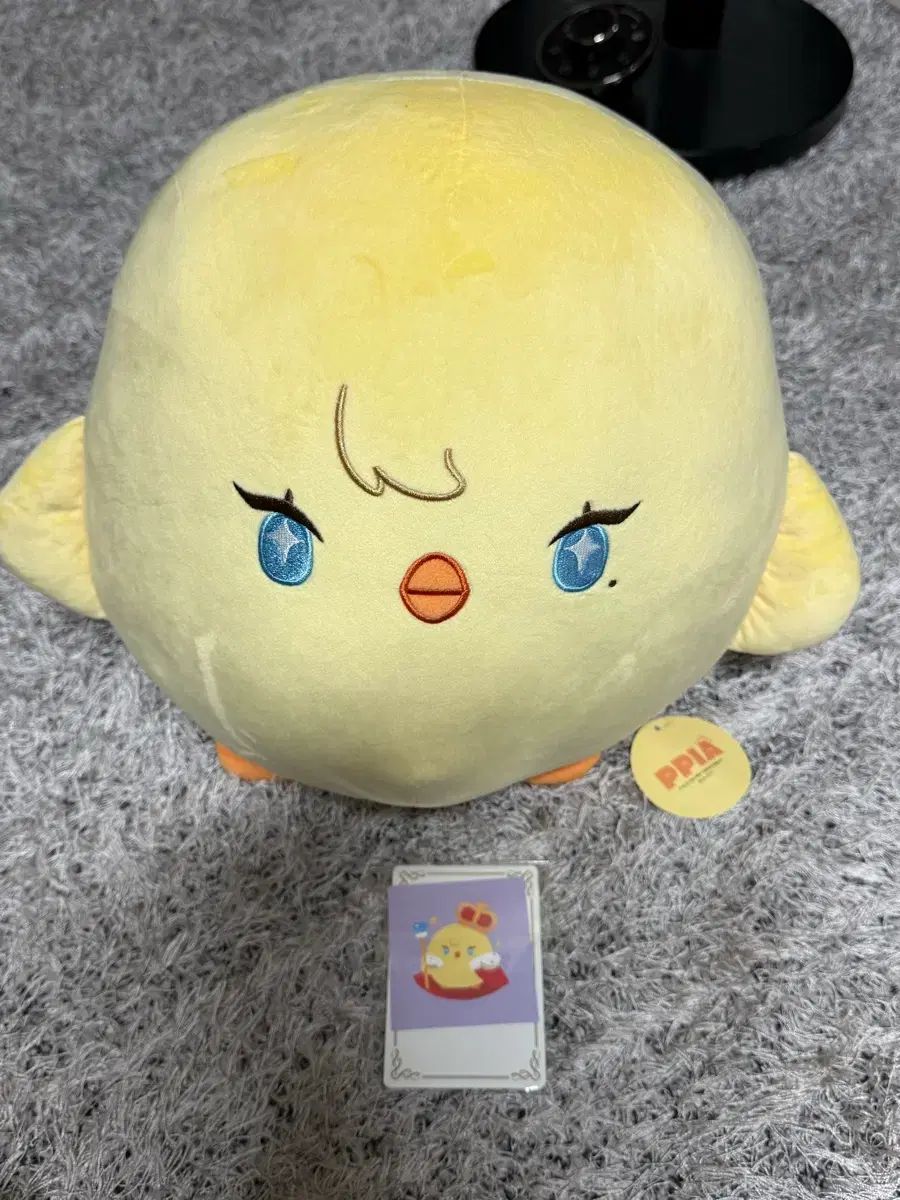 あずまんが大王 ピア 新品 (特典O)