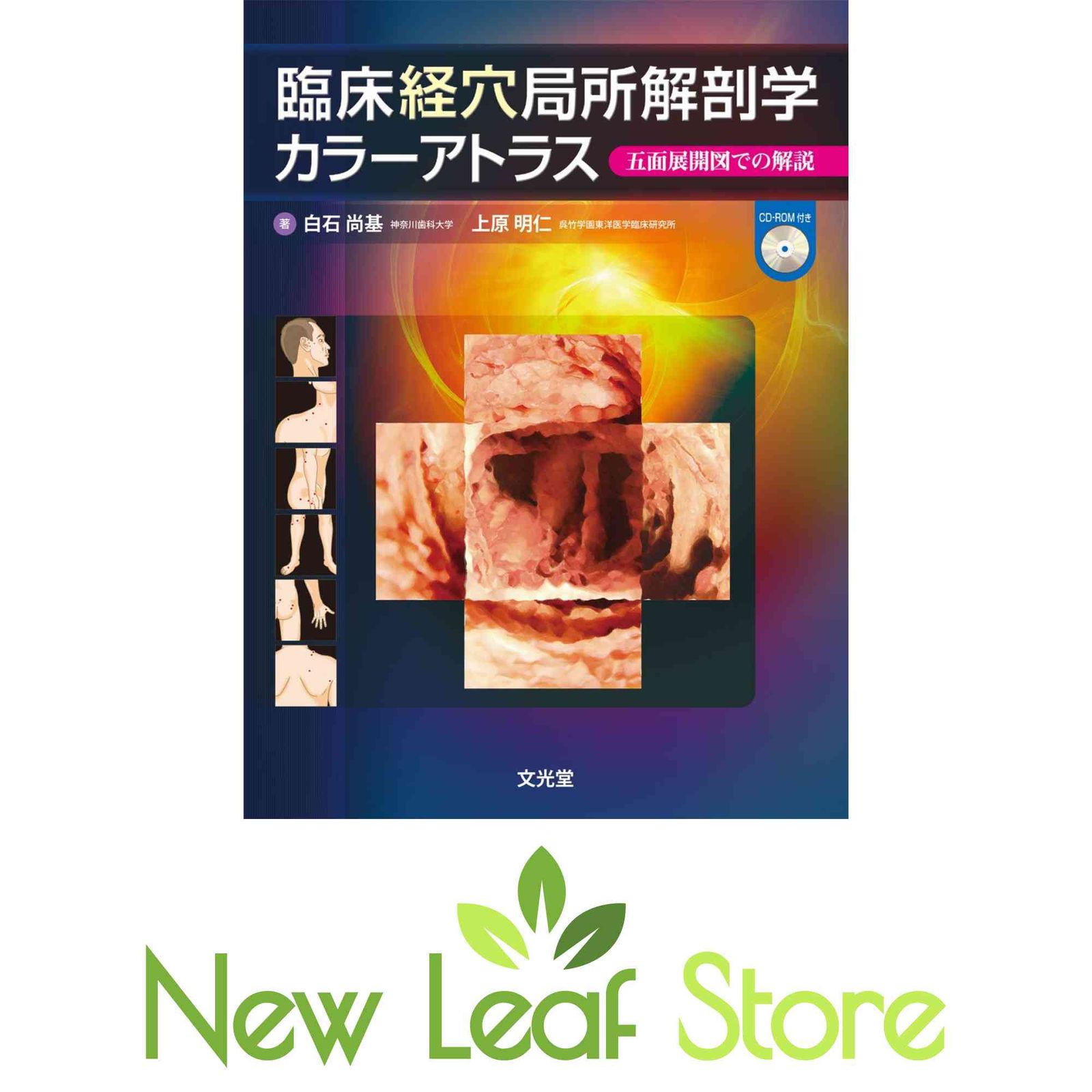臨床経穴局所解剖学カラーアトラス 白石　尚基 and 上原　明仁
