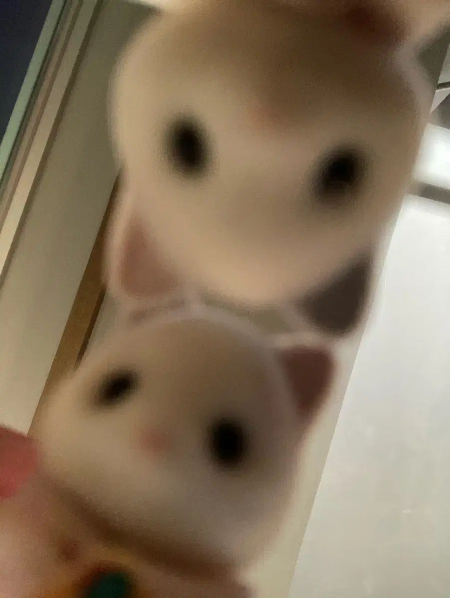 オンデミン 決済窓