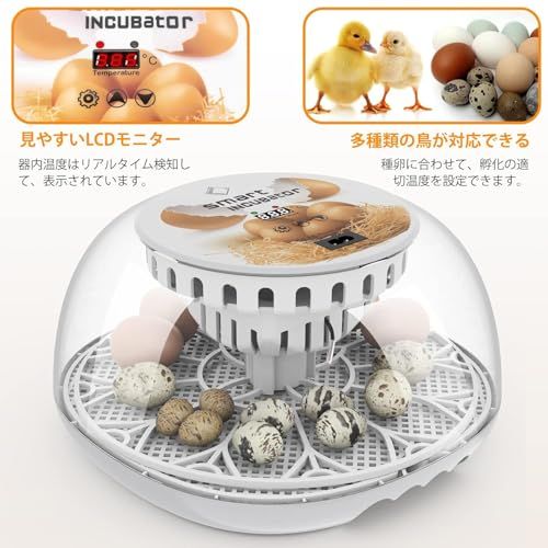 LifeBasis 自動孵卵器 インキュベーター 鳥類専用ふ卵器 自動転卵式 