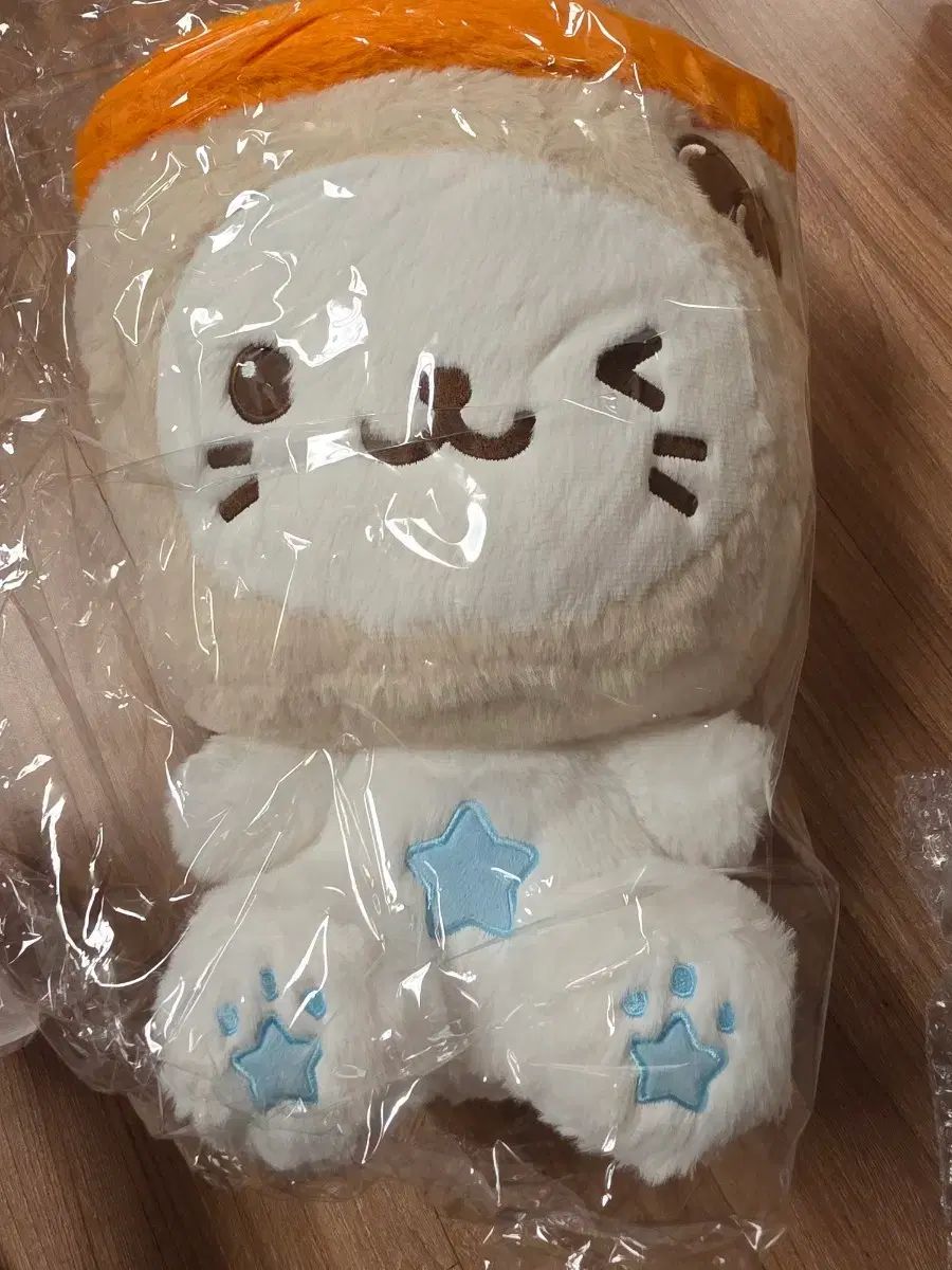 BUBBLE TEENFRESH あずまんが大王 ドール 30cm 出品