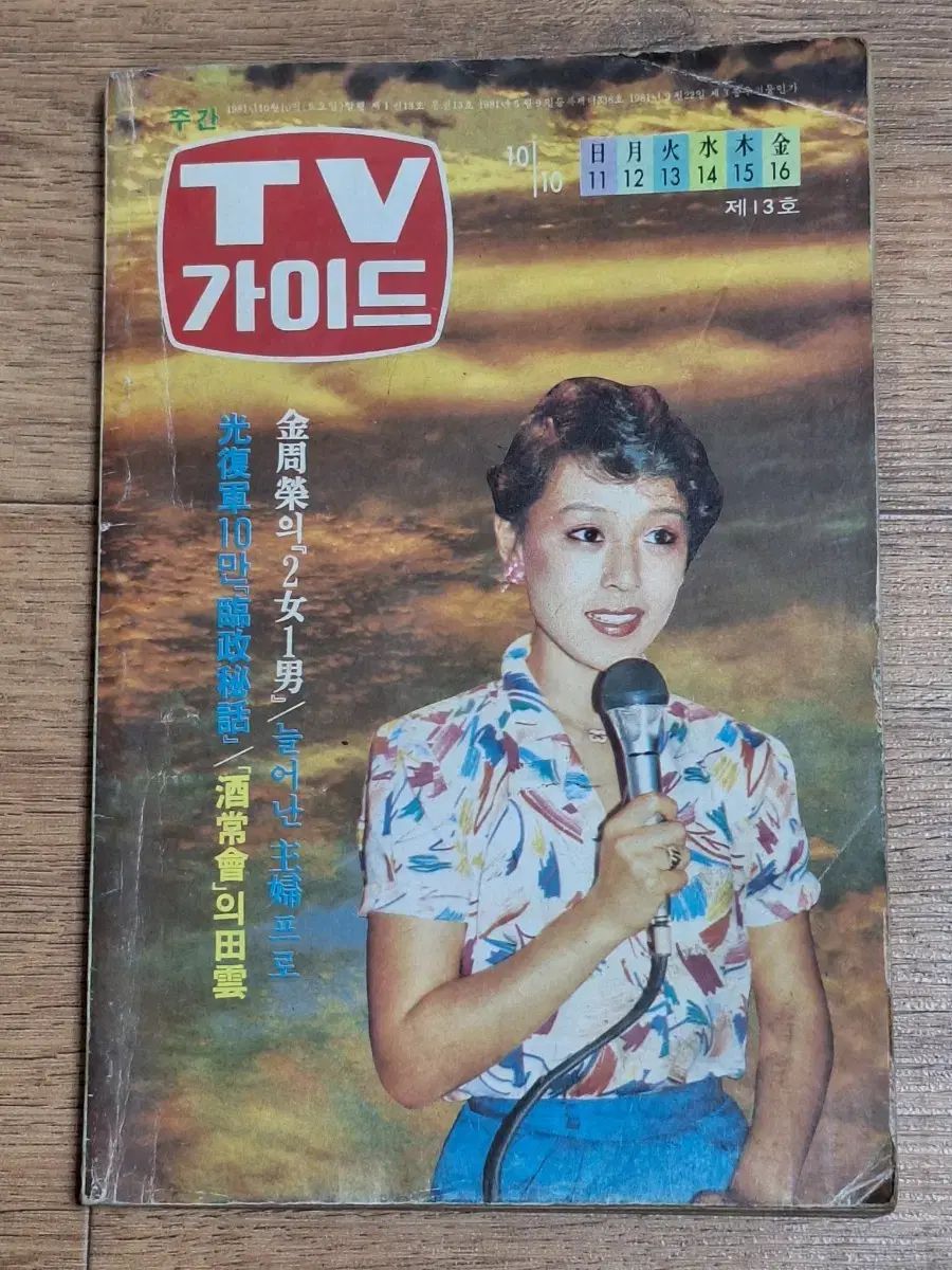 近代史収集資料 ビンテージ 週間芸能雑誌 TVガイド 81年