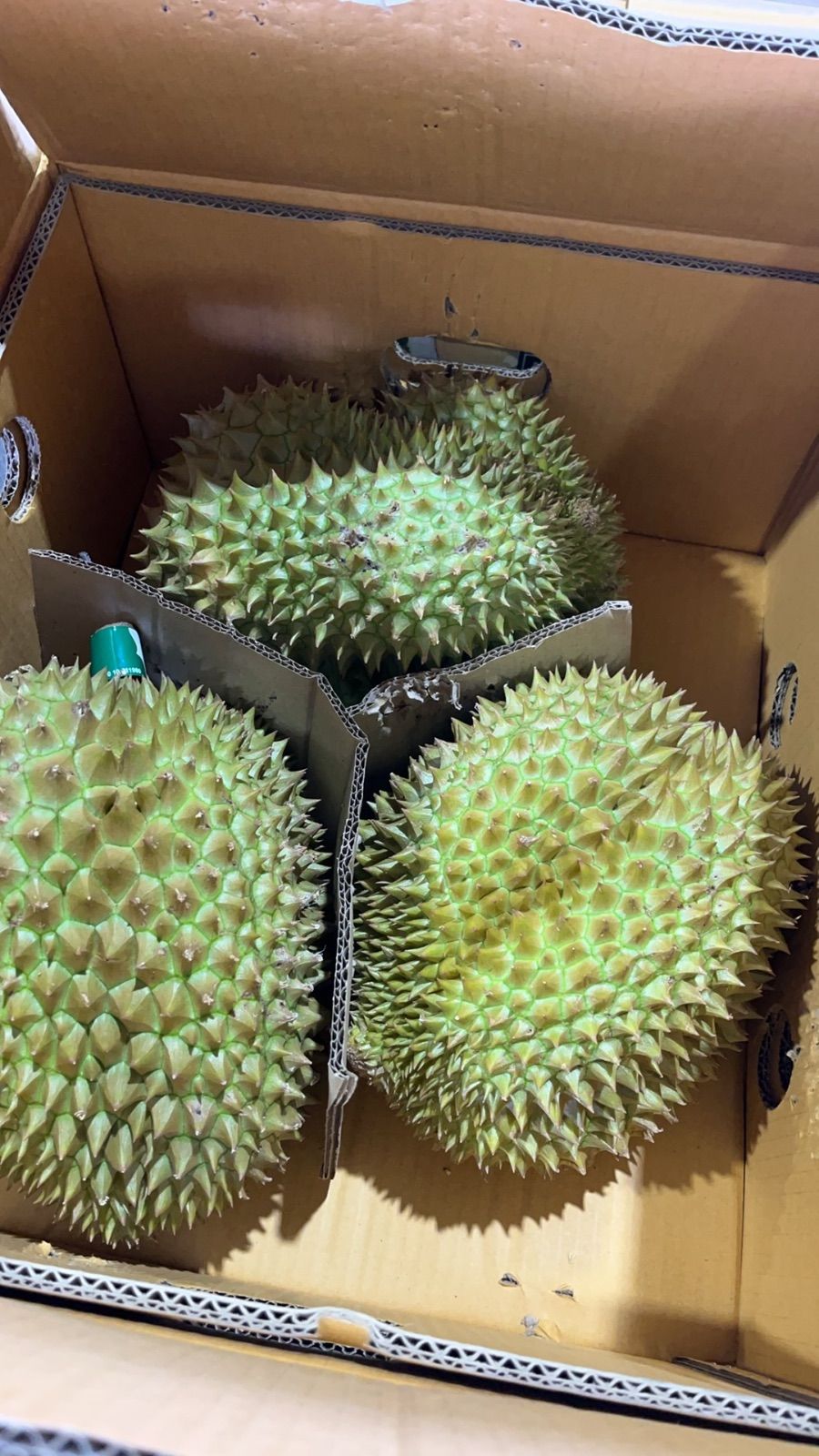 【新鮮直送】?1箱3玉9キロ【今週限定入荷・タイ産 火山金枕ドリアン】?タイ産 モントーン ドリアン 金枕 榴蓮 フレッシュ果物 南国フルーツ トロピカルフルーツ 甘い 香り豊か クリーミー 果肉たっぷり