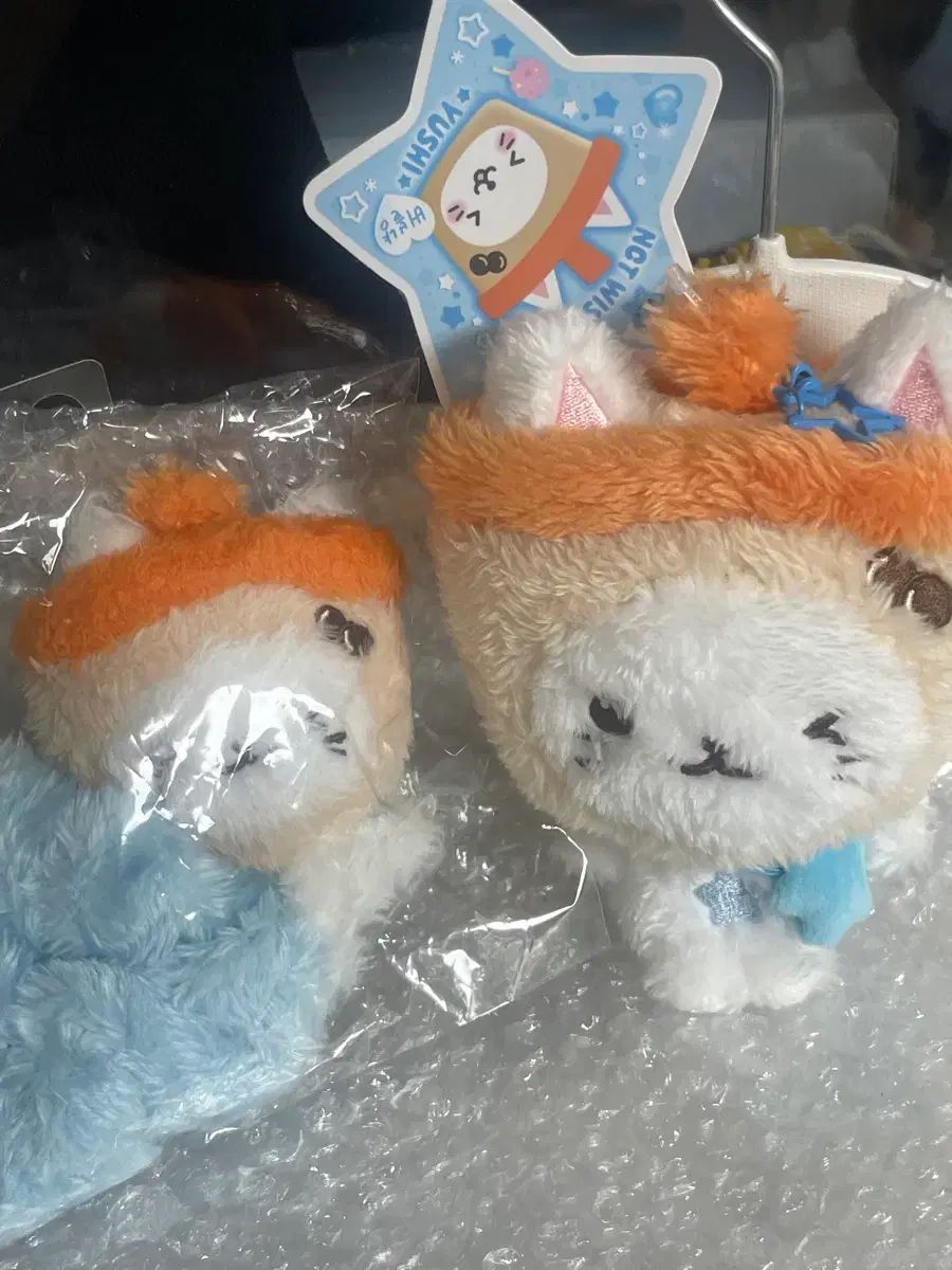 (まとめ) NCT WISH WIND AND WISH ドール、BUBBLE TEENFRESH オリジナル＋SCRUNCH 販売