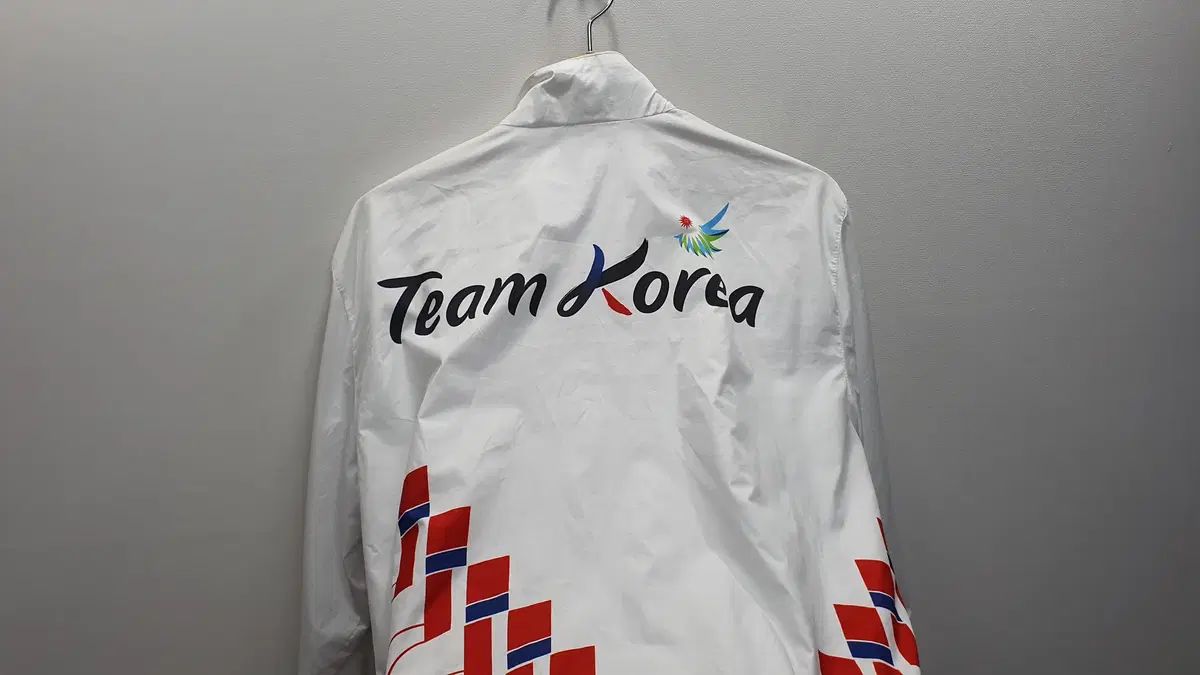 THE NORTH FACE ザノースフェイス チームコリア Asian Games ウィンドブレーカー サイズ 100
