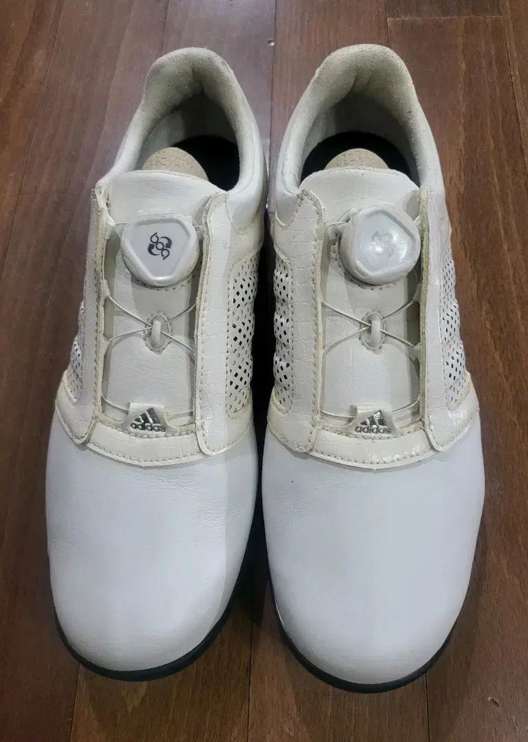 新品 アディダス ゴルフシューズ 245