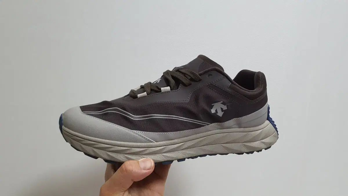 デサント DESCENTE テレンディ ランニングシューズ 285mm