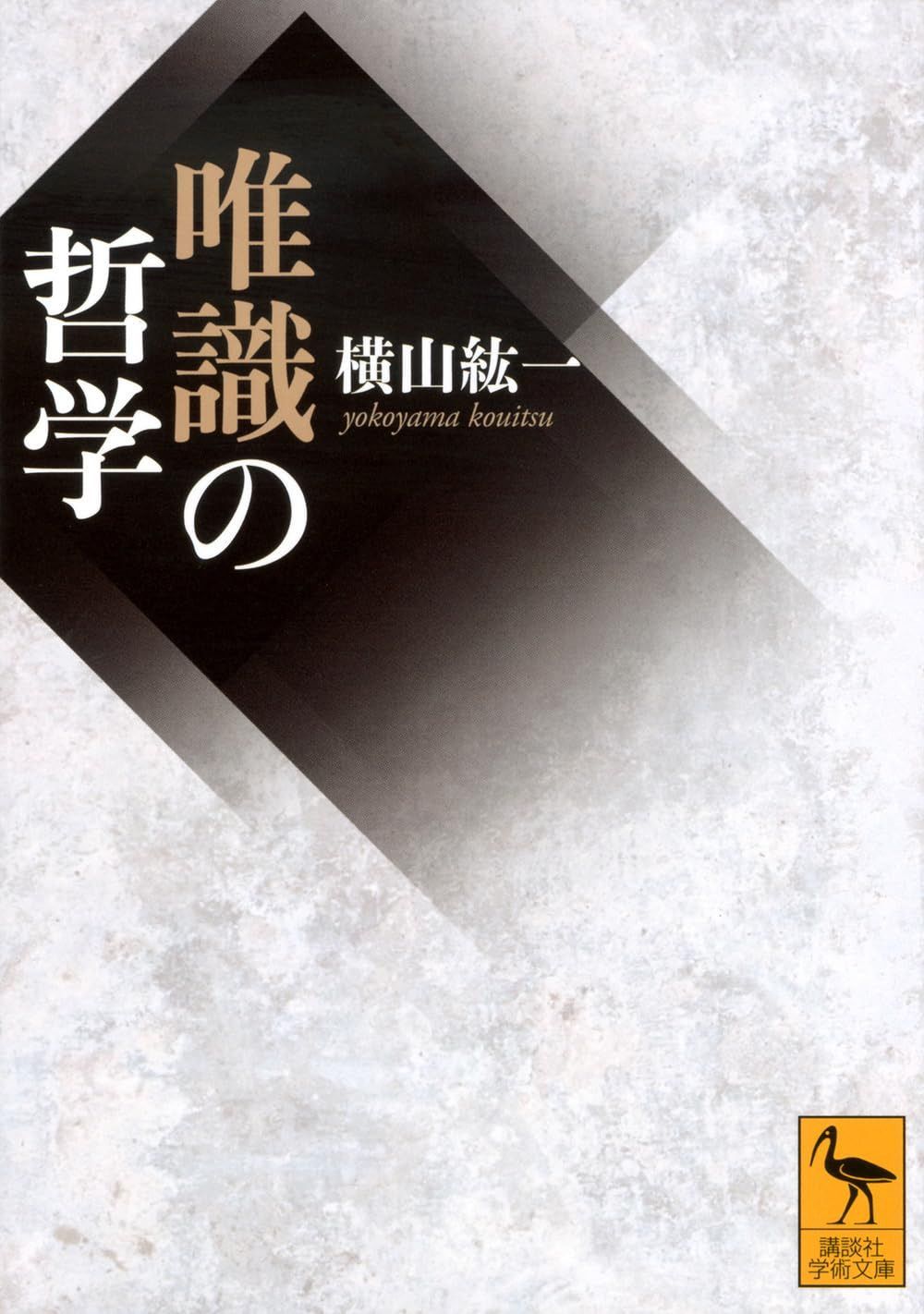 唯識の哲学 (講談社学術文庫 2891)