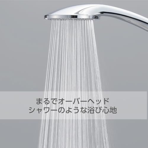 SANEI(サンエイ) ラージメタリックシャワー シャワーヘッド メッキ 大きなシャワー板 たっぷり 節水率25% 日本製 PS3501-81XA-CHA20-ECt 5f63f4fd SANEI(サンエイ) ラージメタリックシャワー シャワーヘッド メッキ 大きなシャワー板 たっぷり 節水率25% 日本製 PS3501-81XA-CHA20-ECt 5f63f4fd