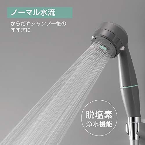 SANEI(サンエイ) シャワーヘッド ミガミ ストロング ヘアクレンジング 浄水 脱塩素 節水30% PS7061-80XA-HA20 ダークグレーt 29ff2ccd SANEI(サンエイ) シャワーヘッド ミガミ ストロング ヘアクレンジング 浄水 脱塩素 節水30% PS7061-80XA-HA20 ダークグレーt 29ff2ccd