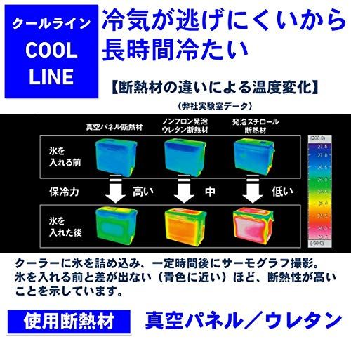 ダイワ(DAIWA) クーラーボックス クールライン 6リットル/8リットル 小型t cfe90647