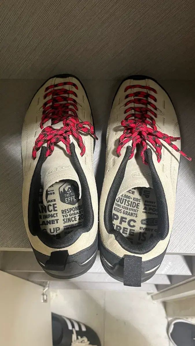 キーン ジャスパー ベージュ 270