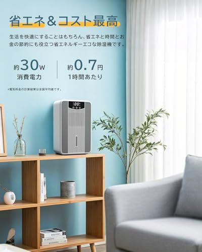 除湿機 小型 省エネ 除湿器 1000ml コンパクト 卓上 静音 じょしつき 狭い空間向け 4-24時間タイマー付き 梅雨対策 2段階稼働モード 節電 部屋干し 湿気取り 最新ペルチェ式除湿機 満水自動停止 自動除霜機能 脱衣所 押入れ 寝 3eb14714