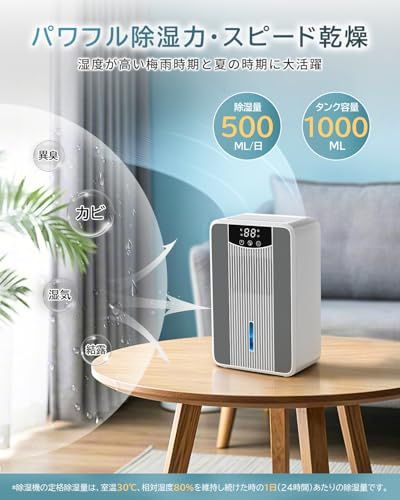 除湿機 小型 省エネ 除湿器 1000ml コンパクト 卓上 静音 じょしつき 狭い空間向け 4-24時間タイマー付き 梅雨対策 2段階稼働モード 節電 部屋干し 湿気取り 最新ペルチェ式除湿機 満水自動停止 自動除霜機能 脱衣所 押入れ 寝 3eb14714