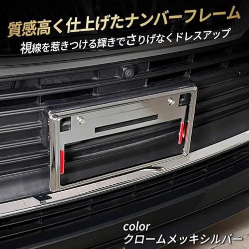 キャスト スタイル アクティバ スポーツ LA250S LA260S ナンバーフレーム 車 ナンバープレート カーボン調 2枚セットts