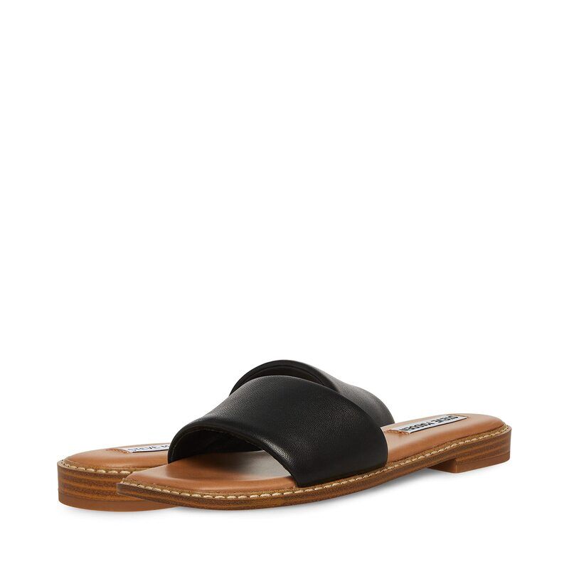 スティーブ マデン レディース シューズ サンダル Steve Madden Sandra Sandal Black Leather ブラック