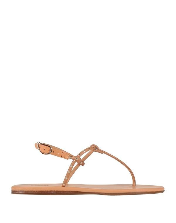 アンシエントグリークサンダル レディース シューズ ソング・サンダル ANCIENT GREEK SANDALS Chocolate Brown ブラウン
