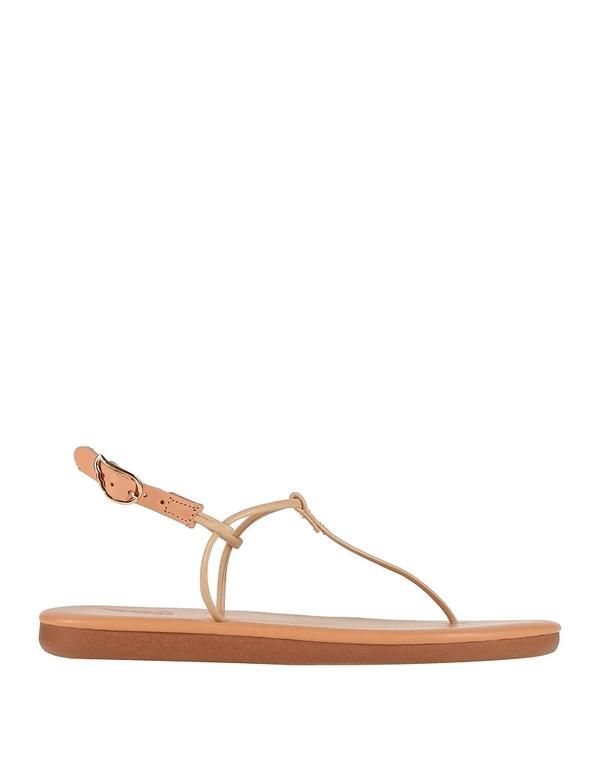 アンシエントグリークサンダル レディース シューズ ソング・サンダル ANCIENT GREEK SANDALS Pale Pink ピンク