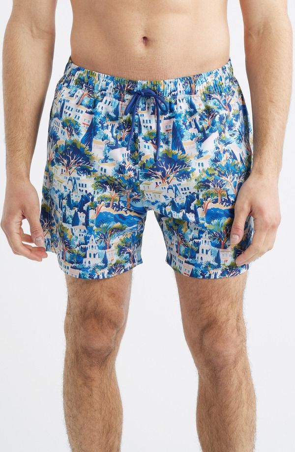 ボーディーズ メンズ 水着 ハーフパンツ・ショーツ プリント Boardies Printed Swim Trunks Blue ブルー