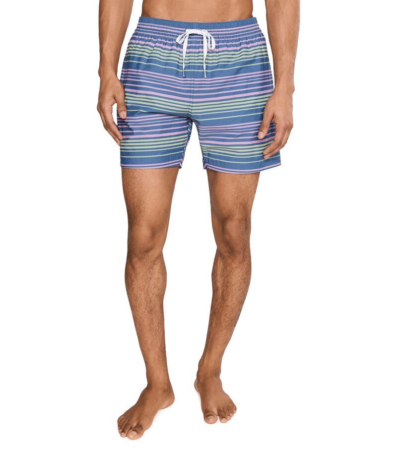 チャビーズ メンズ 水着 ハーフパンツ・ショーツ Chubbies The Blossom Bands 55 Classic Lined Swim Trunks Dusty Blue Stri ブルー