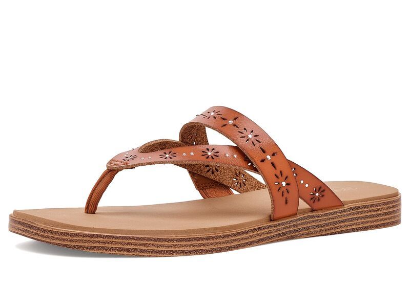 スケッチャーズ レディース シューズ サンダル SKECHERSummer Cove Spring Showers Tan タン