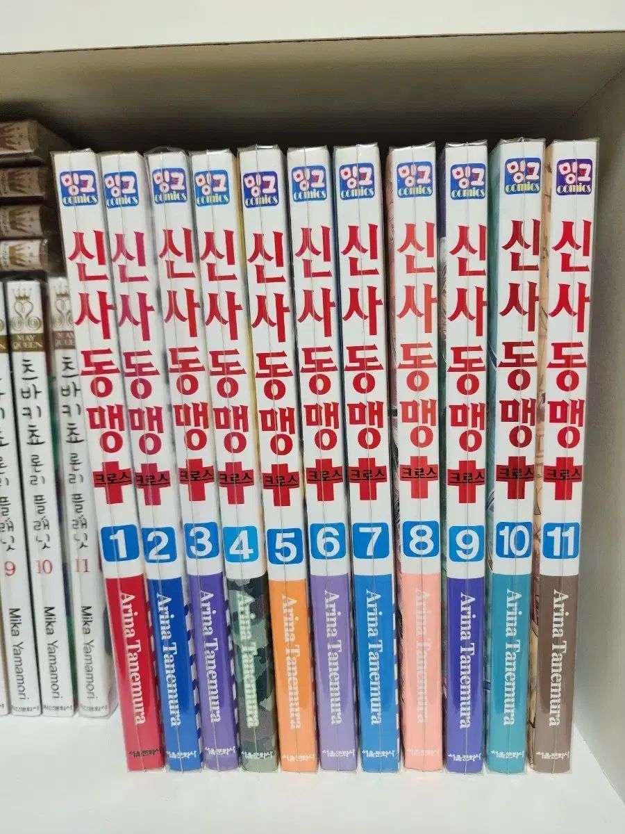 紳士同盟 クロス 1 11 コレクション用 タネムラ アリナ