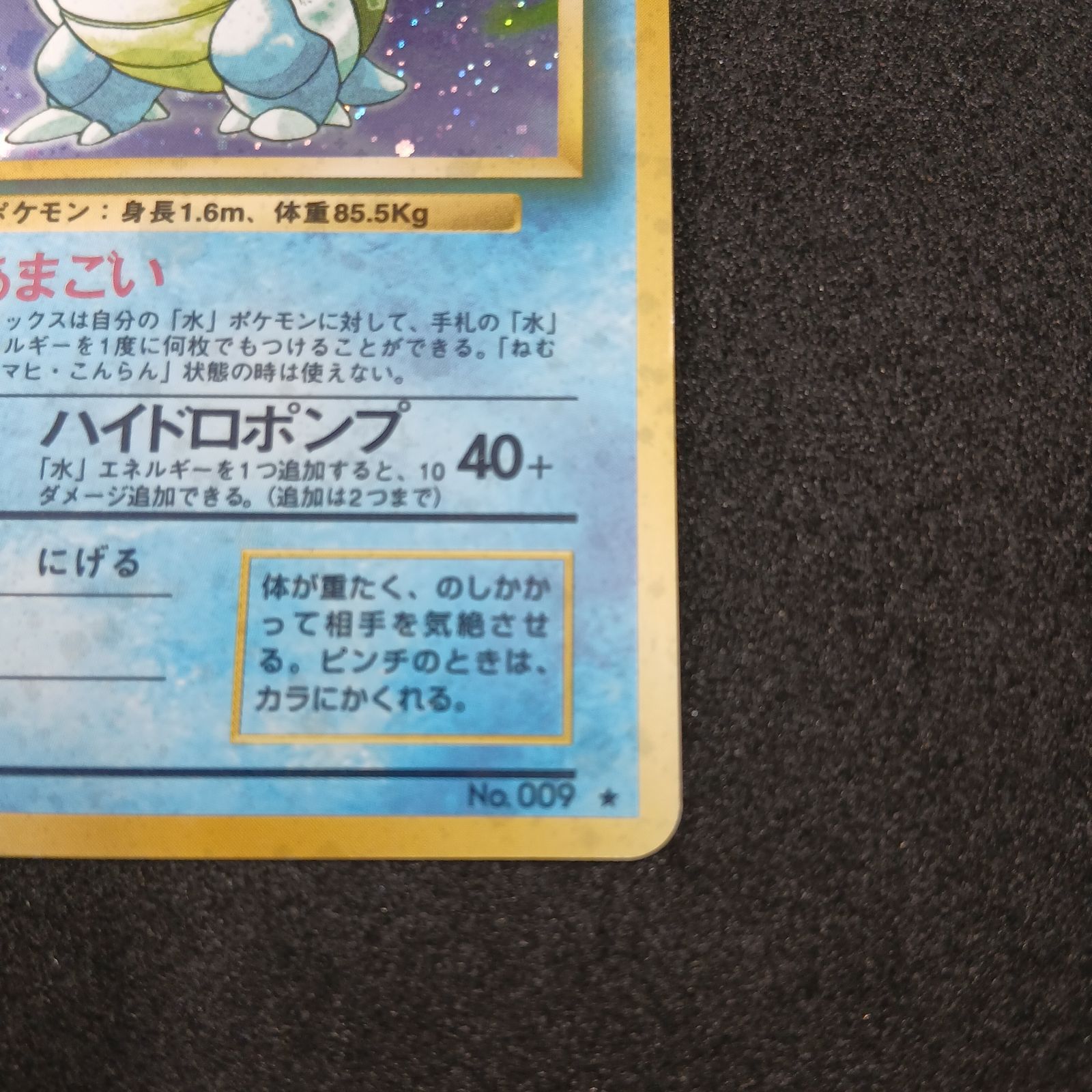 旧裏　ポケモンカードゲーム　old back カメックス ☆ : 旧裏 [PMCG1-2](拡張パック「ポケットモンスター