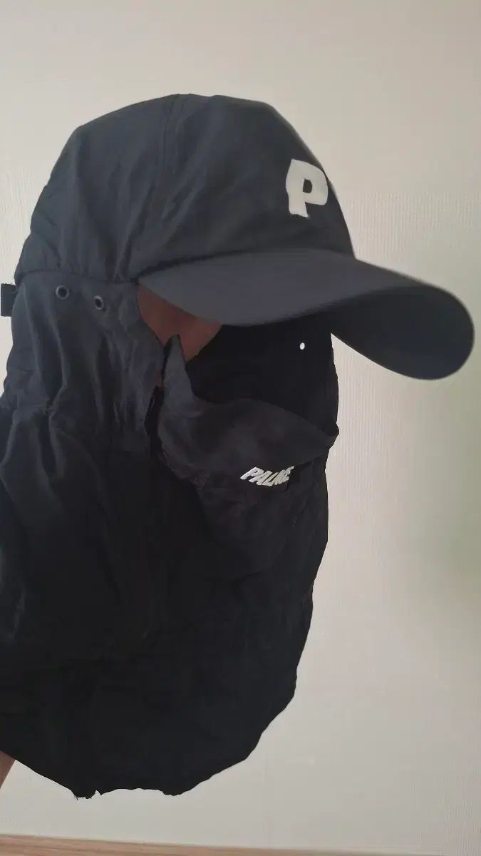 パレス セル フェイスマスク P 6パネル 2 Palace Shell Facema