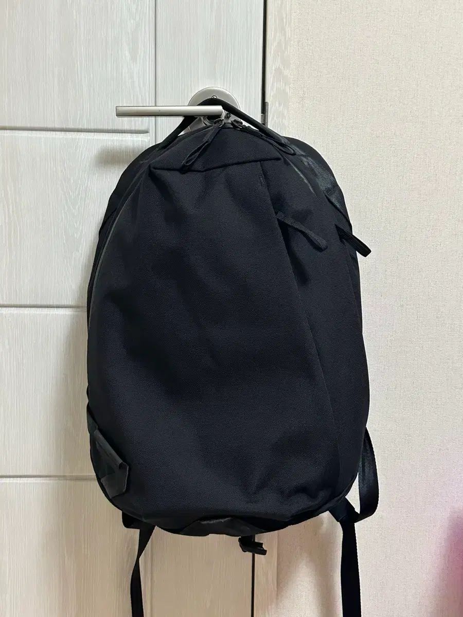 エブルキャリー デイリープラス コーデュラ バックパック 31,087円