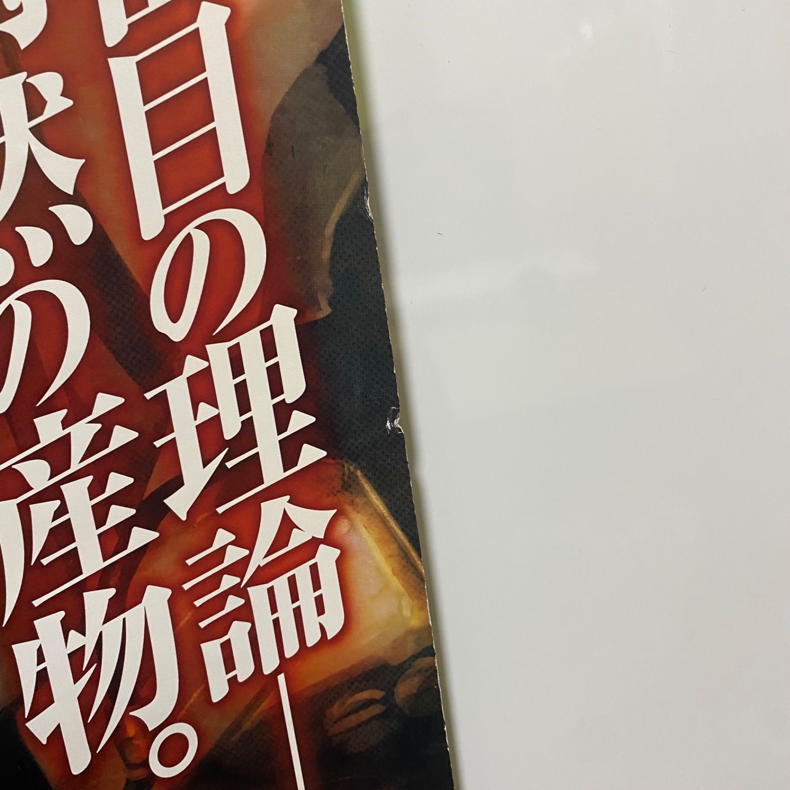 Steins;Gate シュタインズゲート ゲーム販促B2ポスター 両面 2011年 
