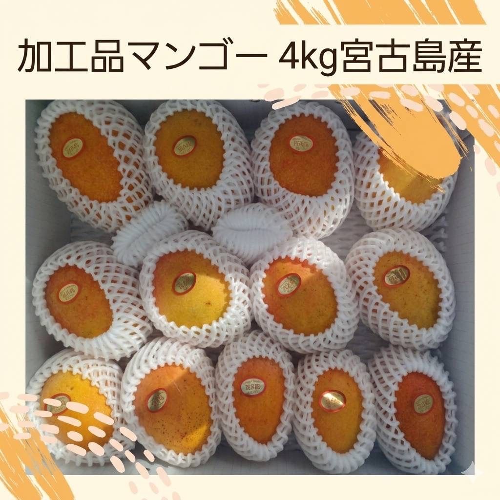 宮古島産 訳あり完熟マンゴー 4kg 加工用 クール便 送料無料 - メルカリ