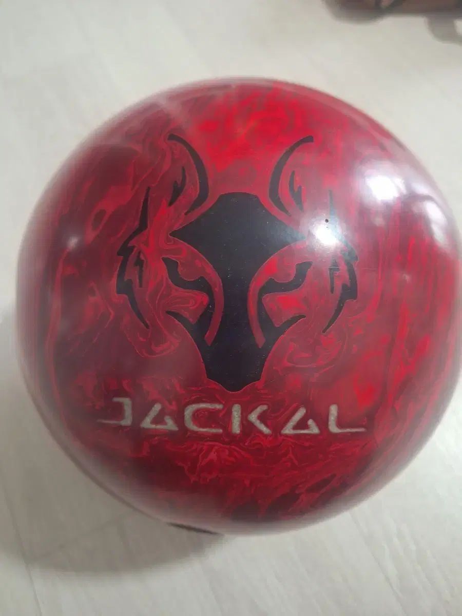 ウールTシャツ ジャッカル（JACKAL） カニジ 15P (中古)