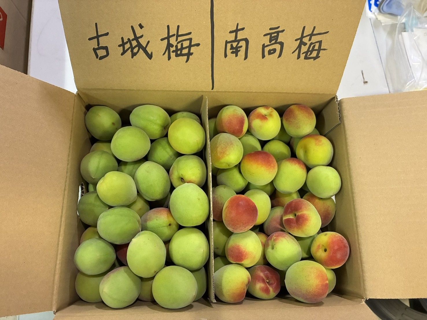 【クール便】大粒南高梅＆古城梅 青梅セット 箱込み５ｋｇ
