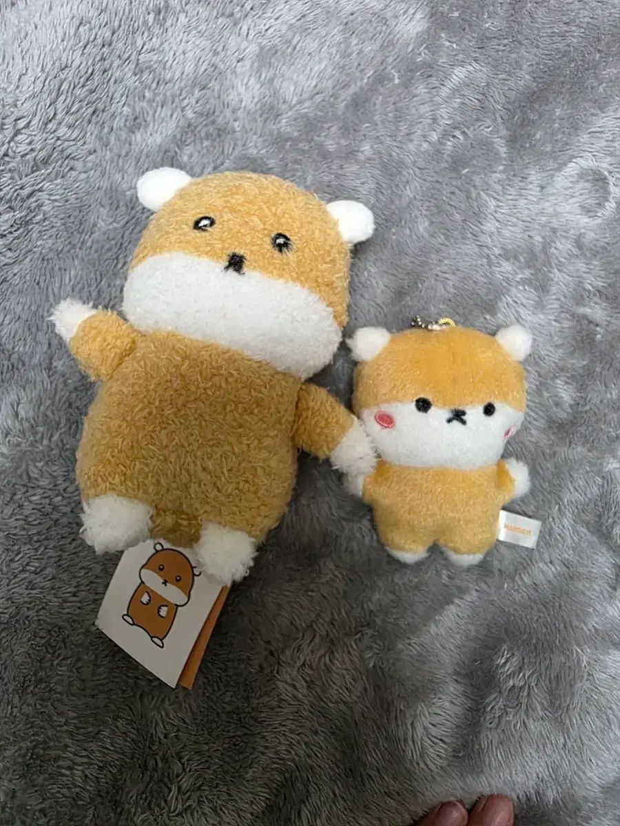 モンエク キヒョン 햄슥 まとめ売り