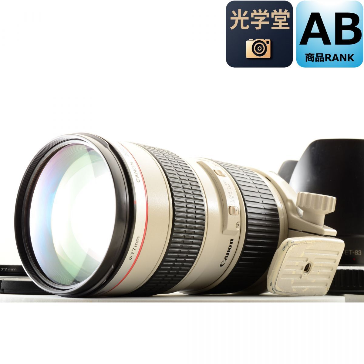 Canon EF 70-200mm f/2.8 L USM ズーム カメラレンズ 交換レンズ キャノン