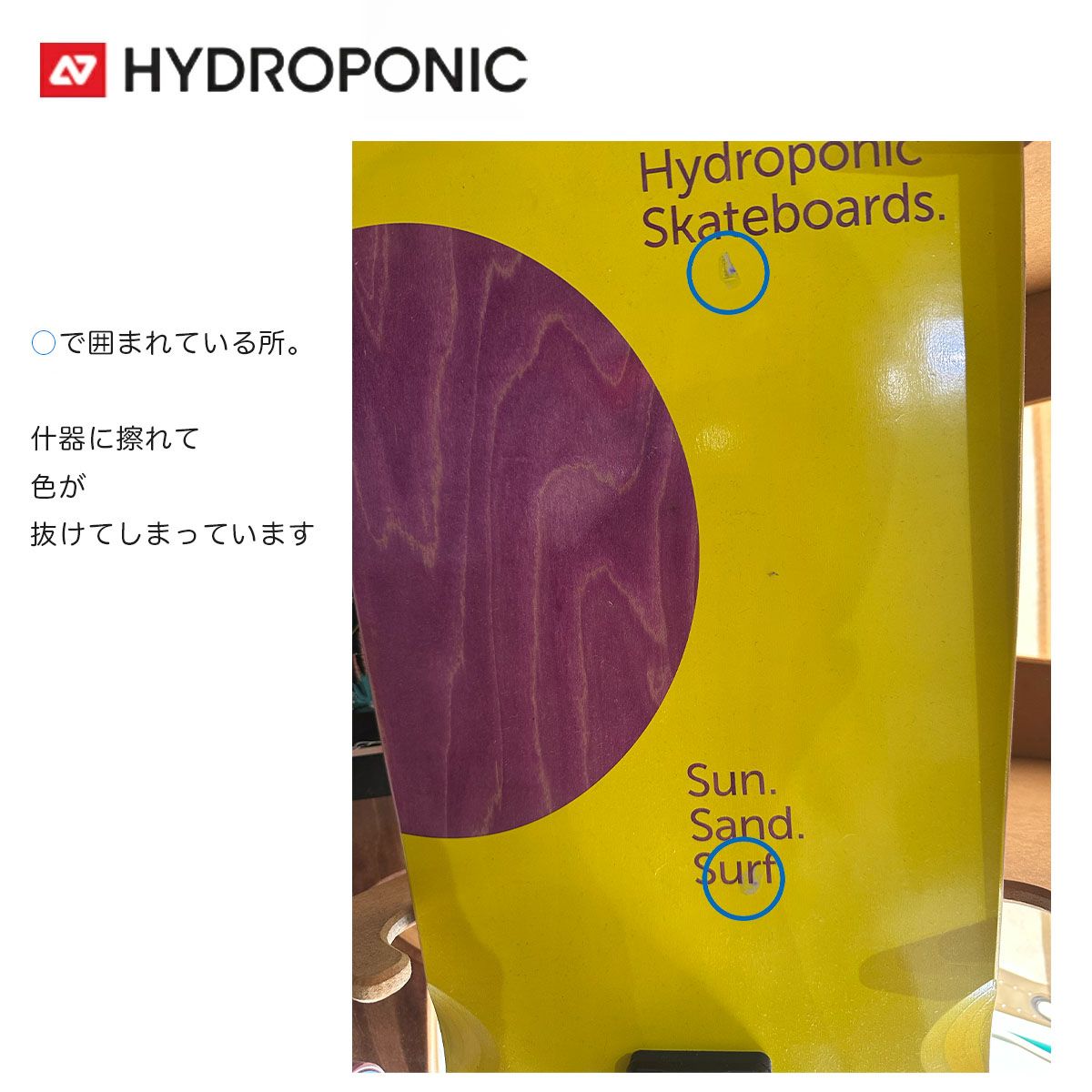 スケートボード ハイドロポニック Hydroponic コンプリート Surfskate 