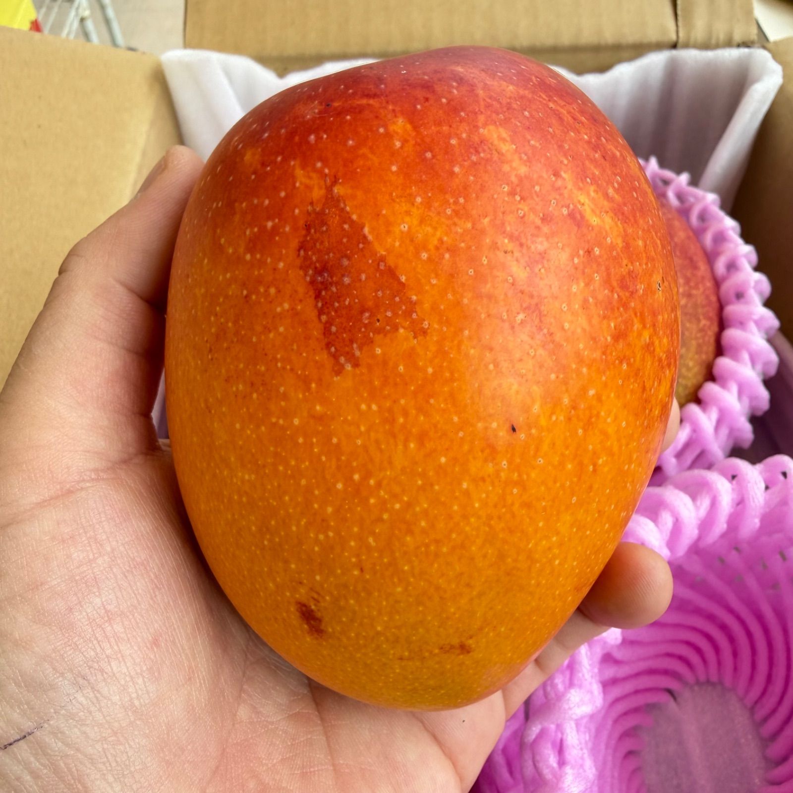 3Lサイズ・4玉】鹿児島県産完熟マンゴー 1.8kg 送料無料 - メルカリ