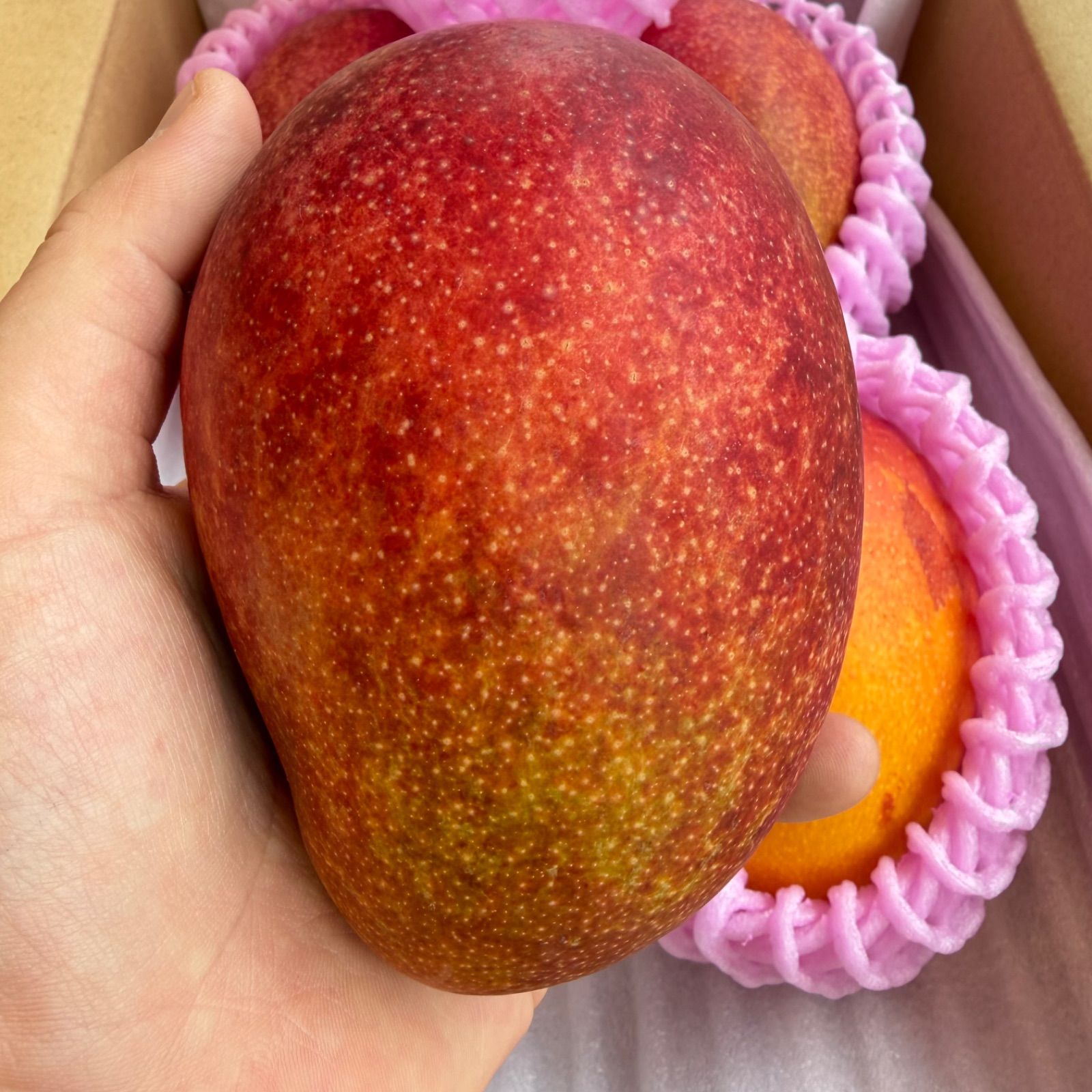 3Lサイズ・4玉】鹿児島県産完熟マンゴー 1.8kg 送料無料 - メルカリ