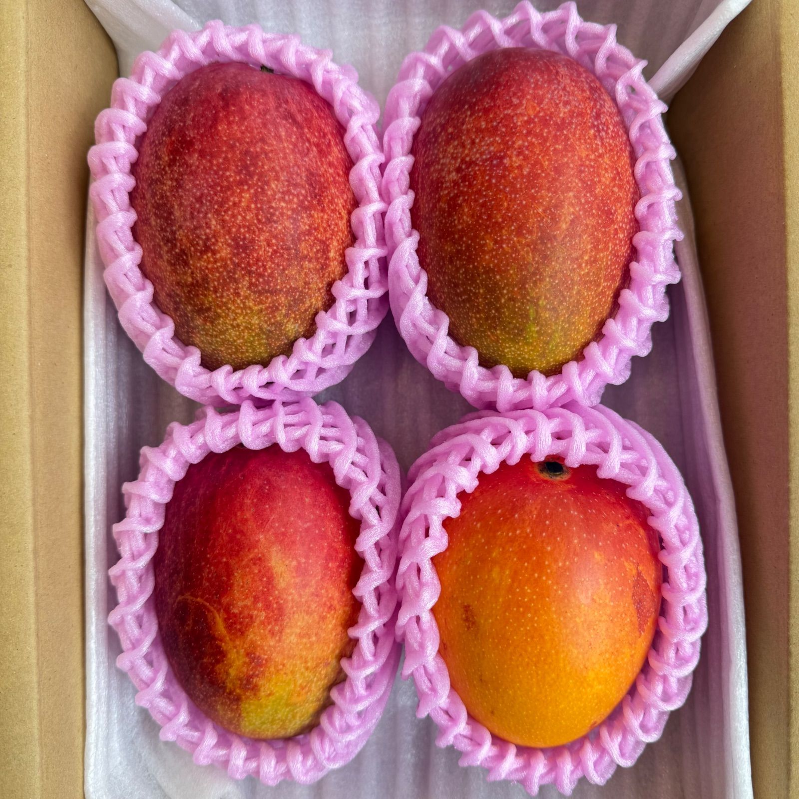 3Lサイズ・4玉】鹿児島県産完熟マンゴー 1.8kg 送料無料 - メルカリ