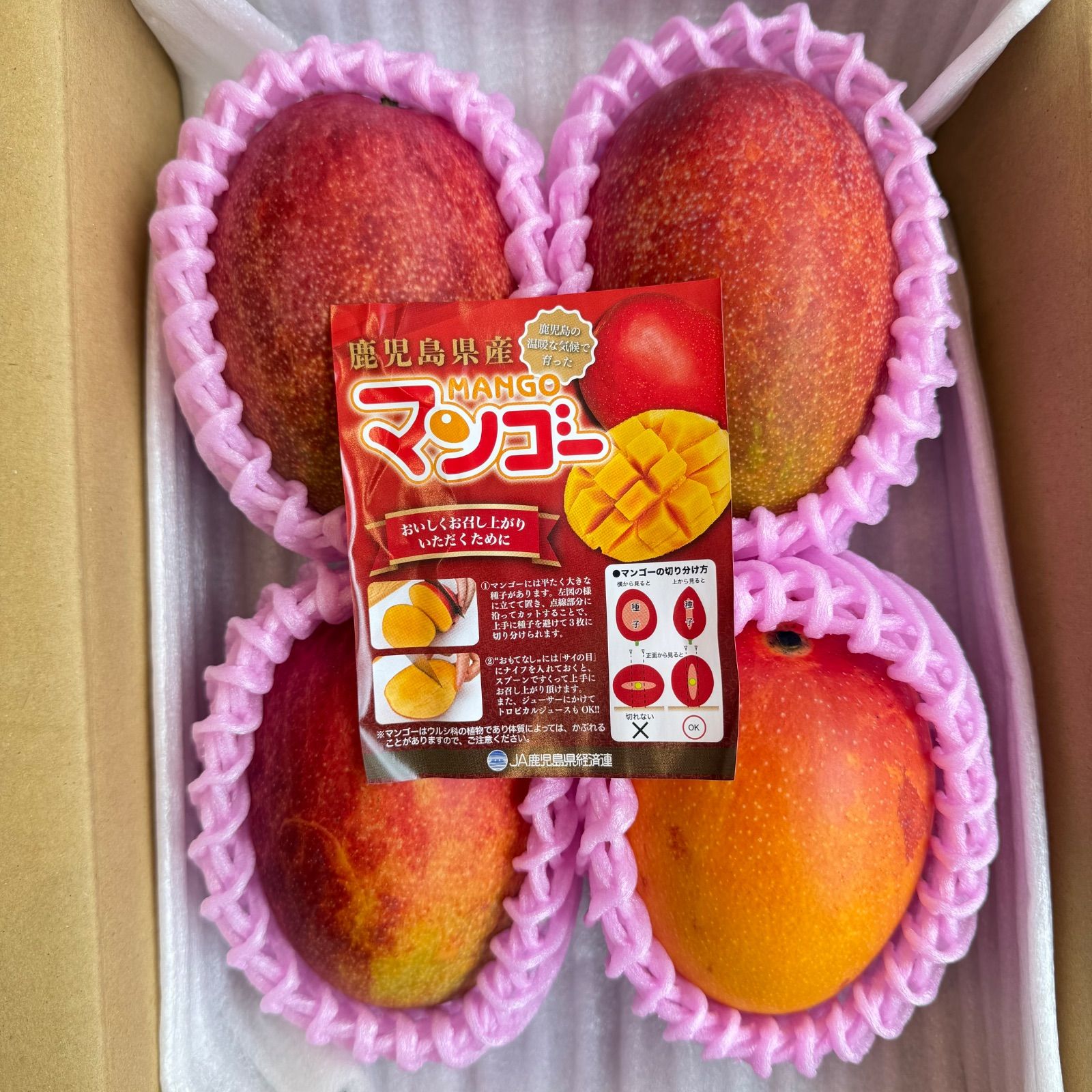 3Lサイズ・4玉】鹿児島県産完熟マンゴー 1.8kg 送料無料 - メルカリ