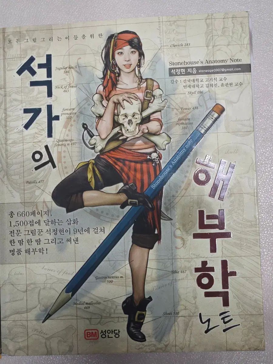 解剖学 絵 学習 書
